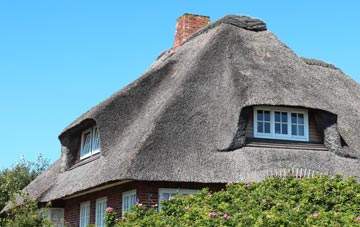 thatch roofing Hill Park
